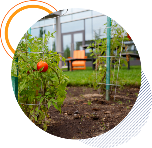 green-office-initiatives