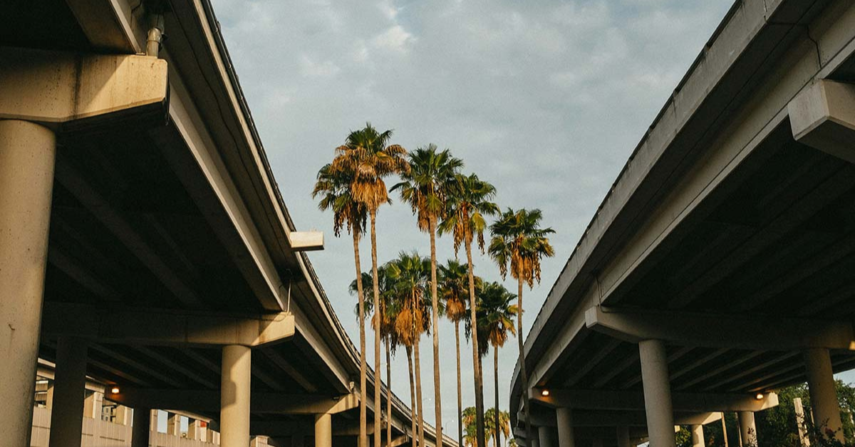 Elevated highways with palm trees in Florida, representing trucking routes and compliance regulations.